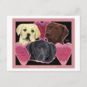 Drei süße Labrador Postkarte