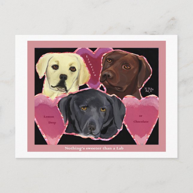 Drei süße Labrador Postkarte (Vorderseite)