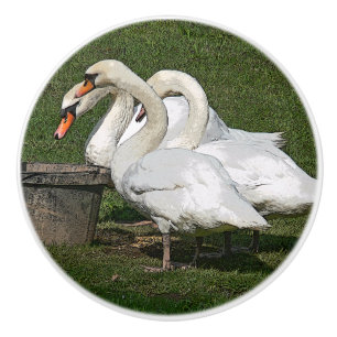 DREI SWANS/PHOTOG.WITH DIGITALE WIRKUNGEN KERAMIKKNAUF