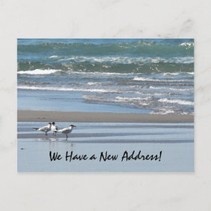 Drei Terns am Strand Postkarte