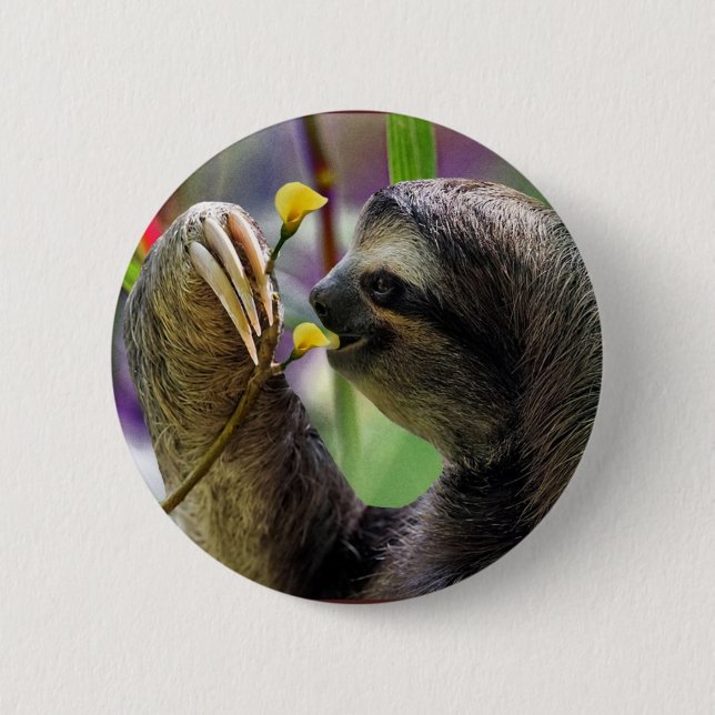 Drei-Toed Baum-Trägheit Button (Vorderseite)