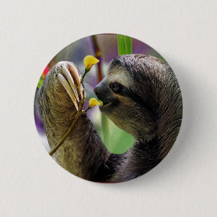 Drei-Toed Baum-Trägheit Button