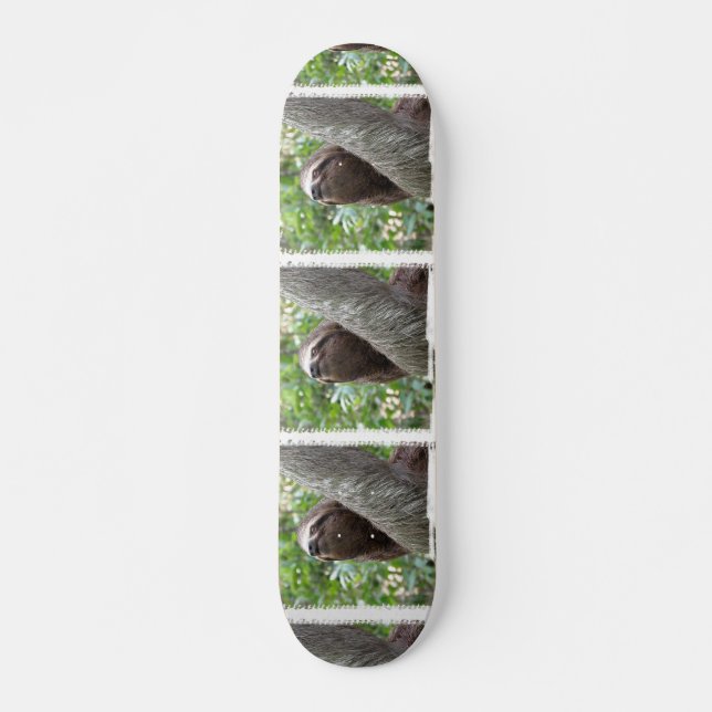 Drei Toed Trägheits-Skateboard Skateboard (Vorne)