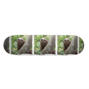 Drei Toed Trägheits-Skateboard Skateboard