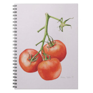 Drei Tomaten auf der Rebe 1997 Notizblock