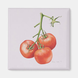 Drei Tomaten/Paradeiser im Weinbau 1997 Magnet