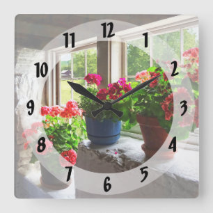 Drei Töpfe Pelargonien auf Windowsill Quadratische Wanduhr