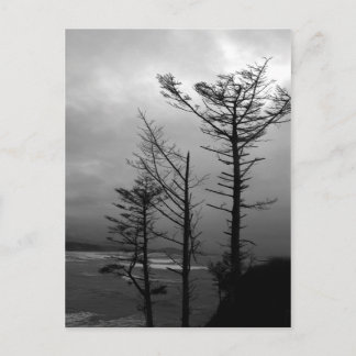 Drei Tree Vigil an der Oregon Küste II Postkarte