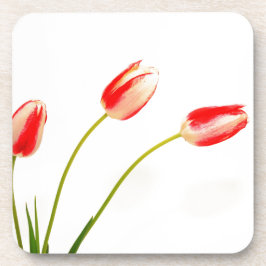 Drei Tulips in Weiß Getränkeuntersetzer