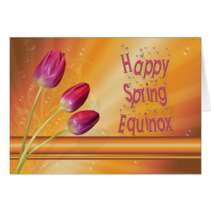 Drei Tulpen Frühling Equinox