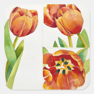 Drei Tulpenstudien im Jahr 2013 Quadratischer Aufkleber