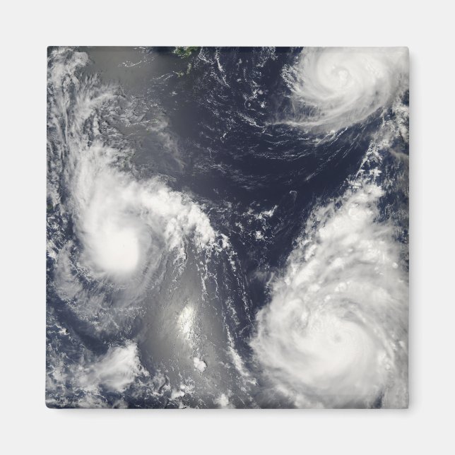 Drei verschiedene Taifune Magnet (Vorne)