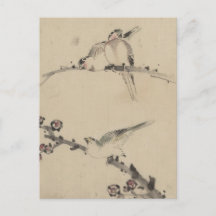 Drei Vögel auf einem Zweig, eine mit Blüten