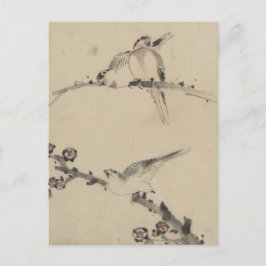 Drei Vögel auf einem Zweig, eine mit Blüten Postkarte
