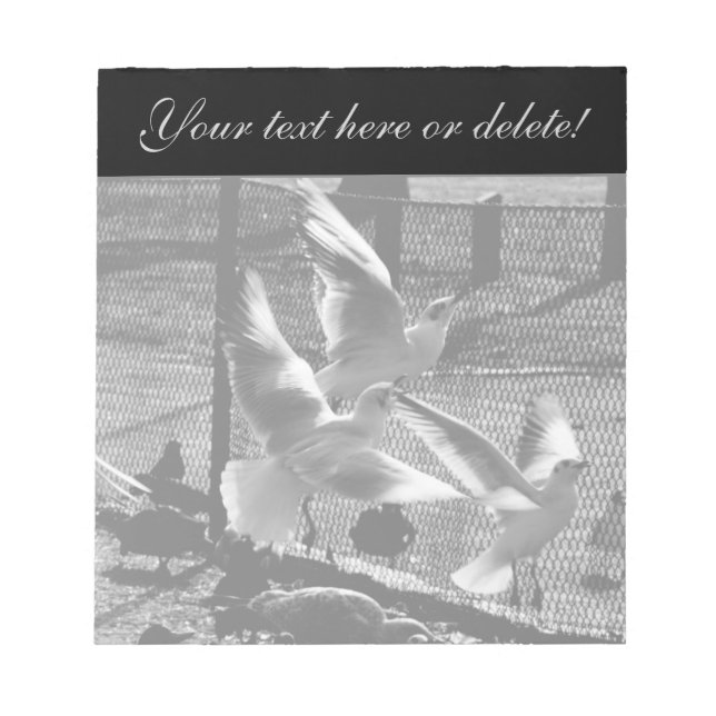 Drei Vögel Notizblock (Vorderseite)