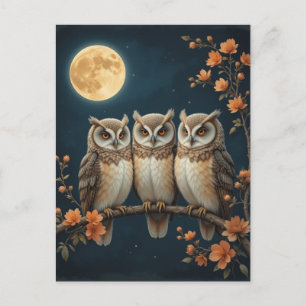 Drei weise Eulen auf einem Ast unter dem Vollmond Postkarte