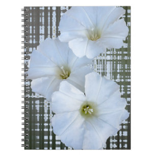 drei weiße Blume Notizblock