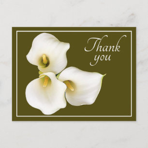 Drei weiße Calla Lilies Olive Hintergrund Danke Postkarte