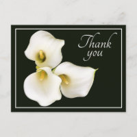 Drei weiße Calla Lilies schwarzer Hintergrund Viel