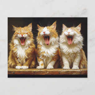 Drei weiße orangefarbene lustige Katzen singen Postkarte