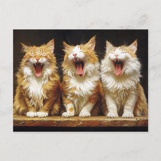 Drei weiße, orangefarbene, sonnige Katzen singen Postkarte