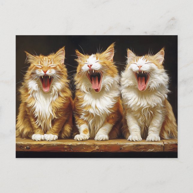 Drei weiße, orangefarbene, sonnige Katzen singen Postkarte (Vorderseite)