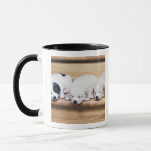 Drei Welpen Tasse