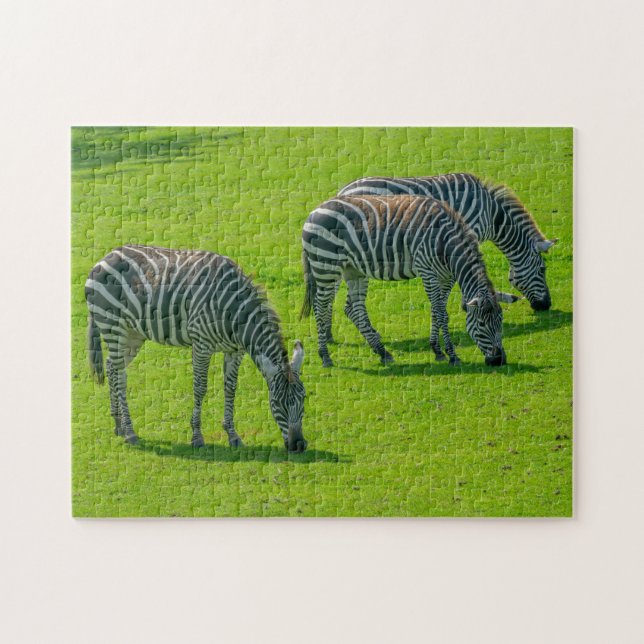 Drei Zebras (Horizontal)