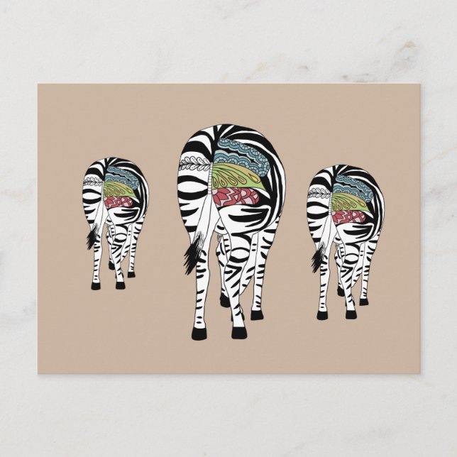 Drei Zebras  Postkarte (Vorderseite)