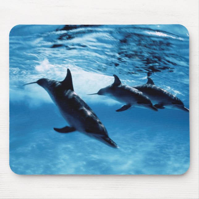 Dreifach-Delfine Mousepad (Vorne)
