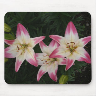 Dreifaches Lilie ~ mousepad