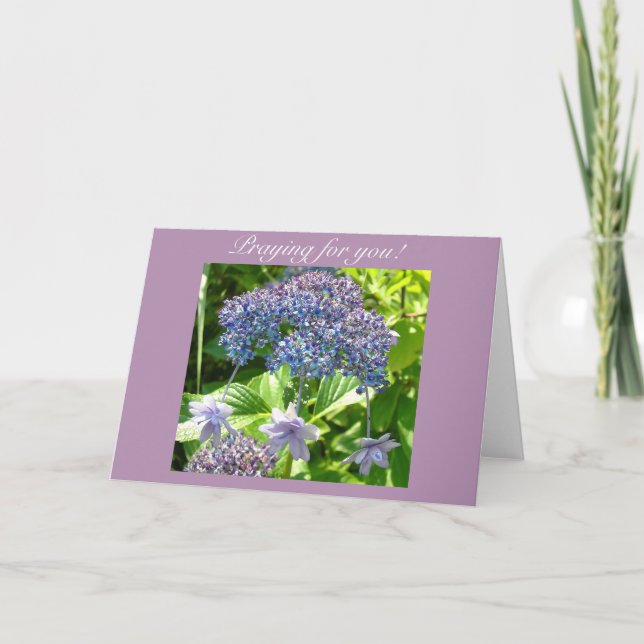 Dreifaltigkeit Gebet für Sie Karte (Vorderseite)