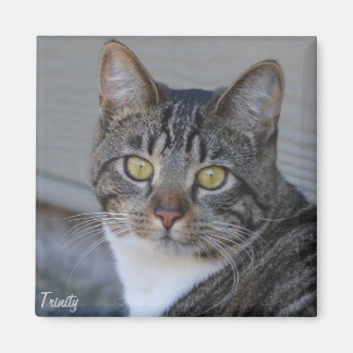 Dreifaltigkeit Magnet