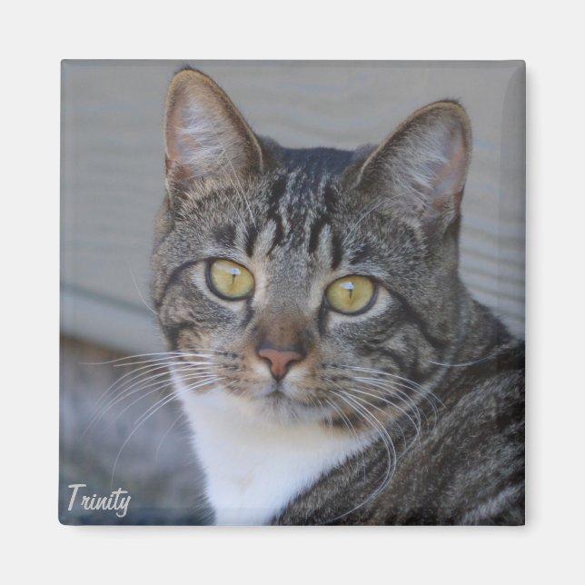 Dreifaltigkeit Magnet (Vorne)