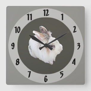Dreifarben-Löwenkopfkaninchen Quadratische Wanduhr