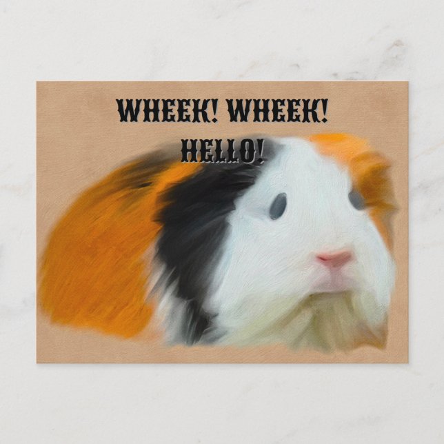 Dreifarbige Guinea Pig Postkarte (Vorderseite)