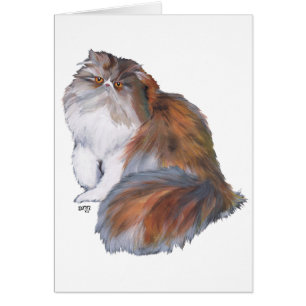 Dreifarbige Perserkatze
