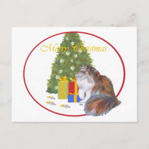 Dreifarbige Perserkatze Weihnachten