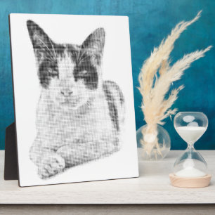 Dreifarbiges Katze Retro-Halfton Fotoplatte