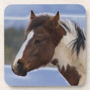 Dreifarbiges Pferd Getränkeuntersetzer