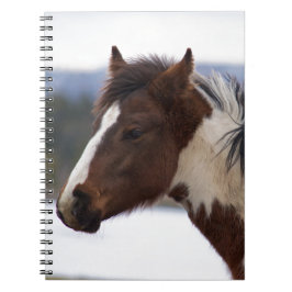 Dreifarbiges Pferd Notizblock