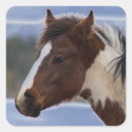 Dreifarbiges Pferd Quadratischer Aufkleber