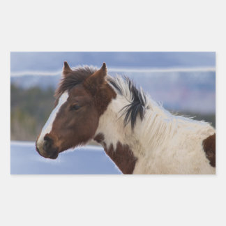 Dreifarbiges Pferd Rechteckiger Aufkleber