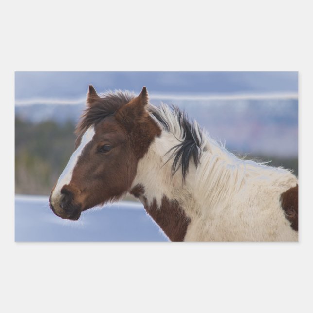 Dreifarbiges Pferd Rechteckiger Aufkleber (Vorderseite)