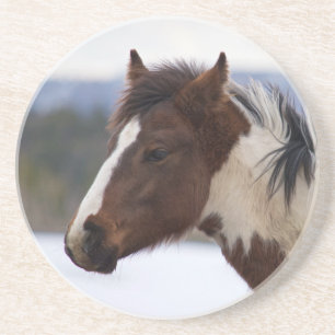 Dreifarbiges Pferd Untersetzer
