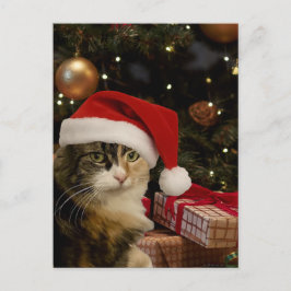 Dreifarbiges Santa-Kätzchen-Postkarte Postkarte