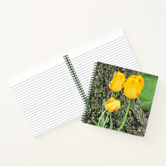 Dreigelbe Tulips / Journal Notizbuch (Innenseite)