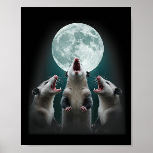 Dreimal Possum Moon _ 3 Opossum und Toter Mond Poster