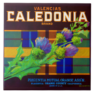 Dreißigerjahre Caledonia orange Kistenaufkleber Fliese
