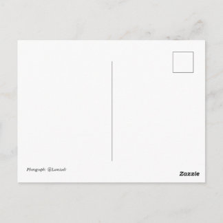 Dreiundzwanzig Postkarte